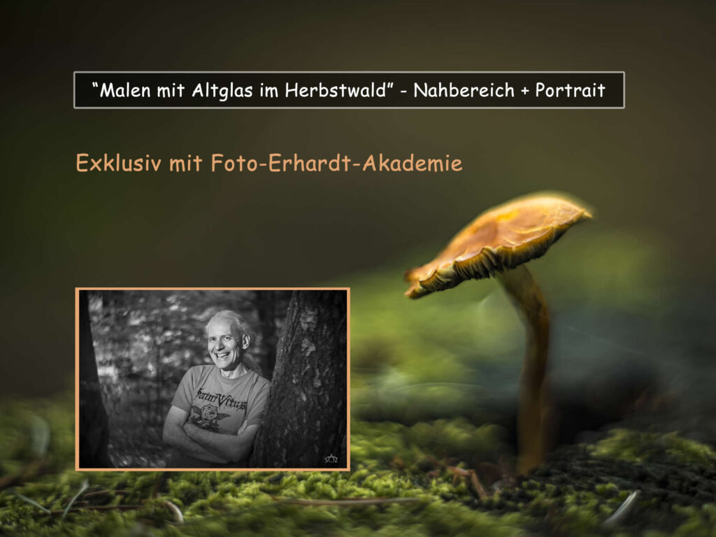 Uwe Statz - Fotografie - fränkische Schweiz - Malen mit Altglas - Herbstwald